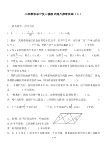 小学数学毕业复习试题及参考答案(五)