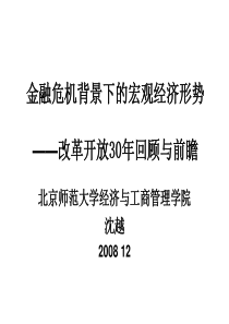 金融危机背景下的宏观经济形势：30年来改革开放回顾与前瞻