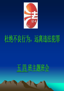 小学生法制教育课件