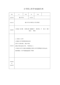 小学科学实验报告单