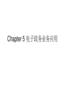 Chapter5电子政务业务应用-政务内网