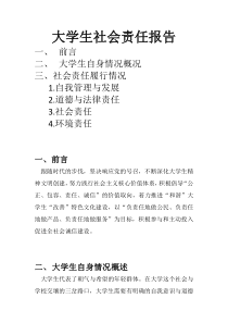 大学生社会责任报告