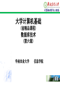 大学计算机基础课件第六章数据库技术.