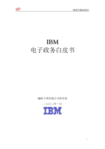 IBM电子政务白皮书