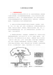 大树移植技术图解