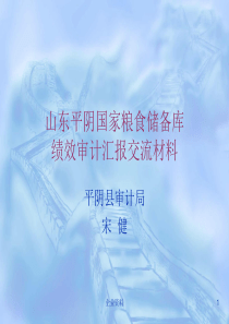 山东平阴国家粮食储备库绩效审计汇报交流材料