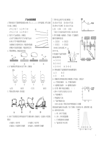 大气运动拓展训练题