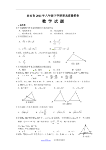 山东省泰安市2010-2011学年八年级下学期期末质量检测数学试题