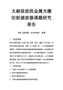 太赫兹波段金属光栅衍射滤波器课题研究报告