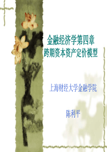 金融经济学第四讲