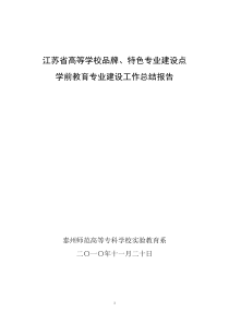 学前教育专业建设工作总结报告