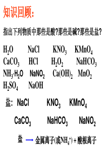 九年级下册人教版第十一单元课题1生活中常见的盐.ppt