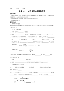 学案光和光合作用