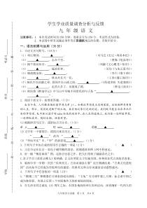 学生学业质量调查分析与反馈九年级语文试卷