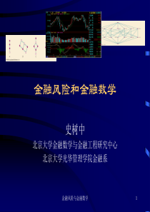 金融风险与金融数学(1)