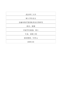 金融风险扩散的机理及应用研究