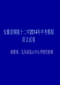 安徽省铜陵十二中2014年中考模拟