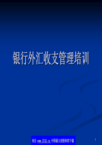 银行外汇收支管理培训(pdf50)(1)