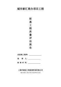 城市新汇商办项目桩基工程评估报告