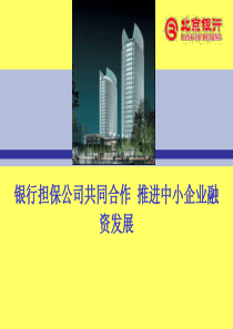 银行担保公司共同合作讲义