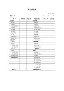 事业单位会计报表格式