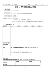 实验一学案观察多种细胞的形态