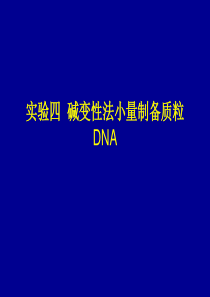 实验九质粒DNA的制备