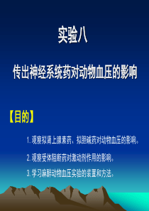 实验八传出神经系统药对动物血压的影响2