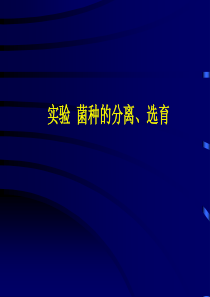 城建档案案卷目录及填写要求