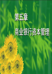 银行经营管理学05