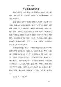 投标文件承诺书范文