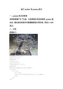 基于matlab的gamma校正