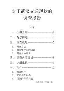 对于武汉交通现状的调查报告