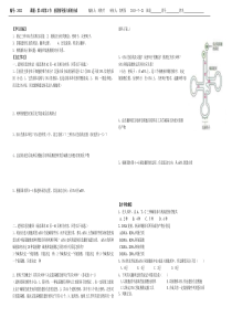 基因指导蛋白质的合成学案