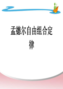 基因自由组合定律公开课