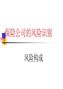 风险识别：保险公司风险构成