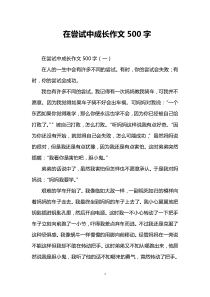 在尝试中成长作文500字