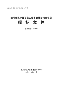 四川省冕宁县石官山金多金属矿预查项目招标文件