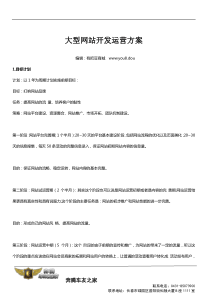 大型门户网站运营计划方案