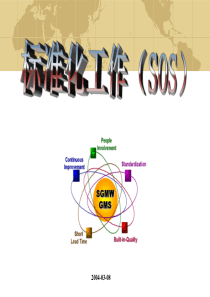 12-标准化工作SOS