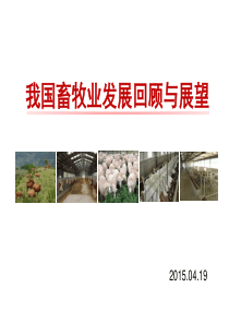 03魏宏阳XXXX畜牧行业发展回顾与展望