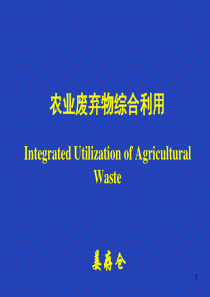 04-05农业废弃物利用沼气技术
