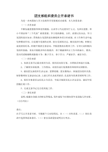 团支部组织委员公开承诺书