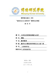 大学生村官现状调查分析