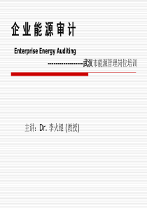 1能源审计(面向机构)-李银火