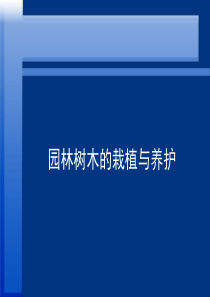 园林树木的栽培与养护课件.