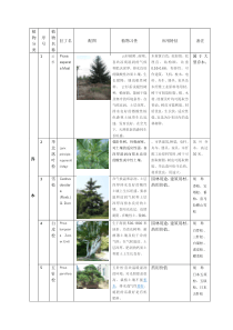 园林植物