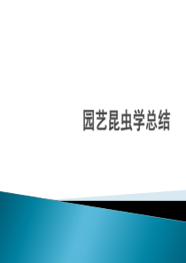 园艺植物病虫害考试之昆虫总结.