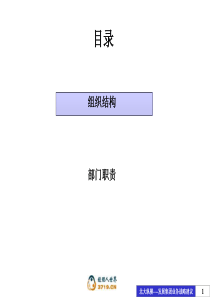 大庆石油发展集团组织结构设计方案