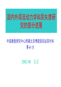 国内外尿流动力学和尿失禁研究的部分进展.